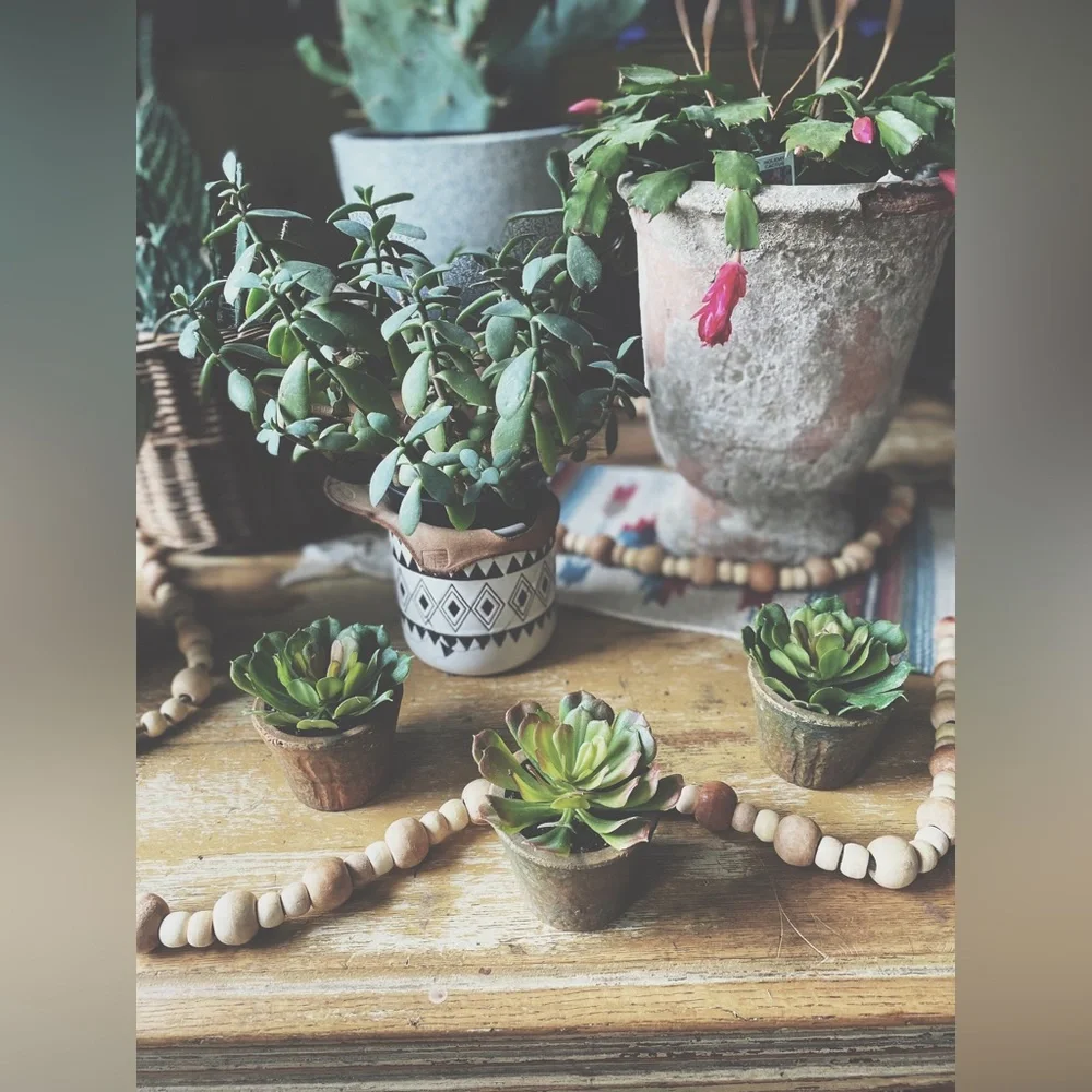 Set of 3 Rustic Clay Potted Faux Succulents - Boho Home Decor